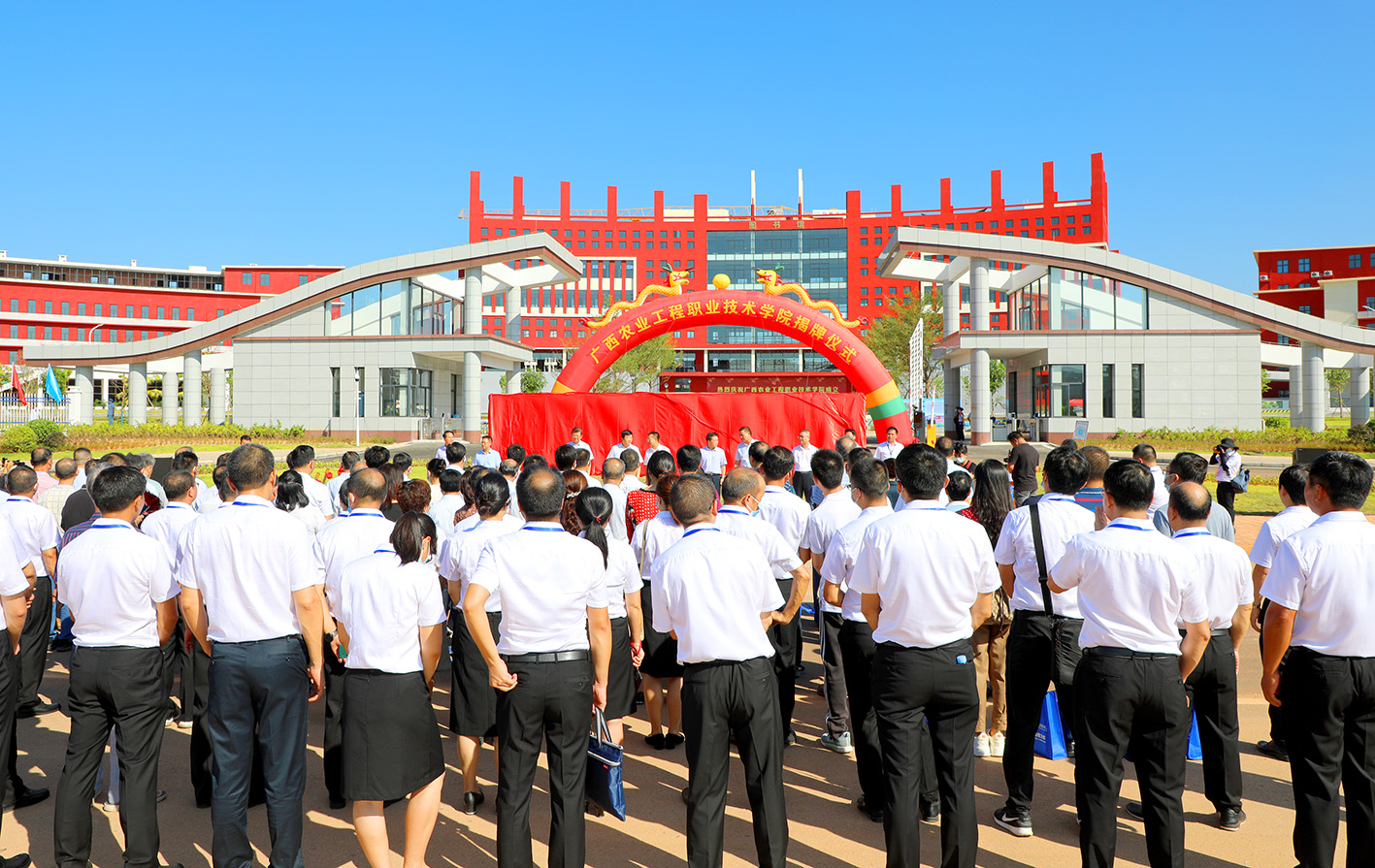 傳網(wǎng)上2揭牌儀式現(xiàn)場.jpg